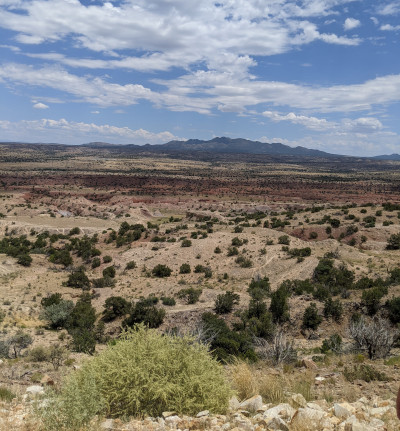 A photo of the New Mexico desert with mountains in the background