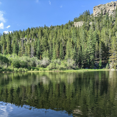 A photo of a pond with dense forest in the background